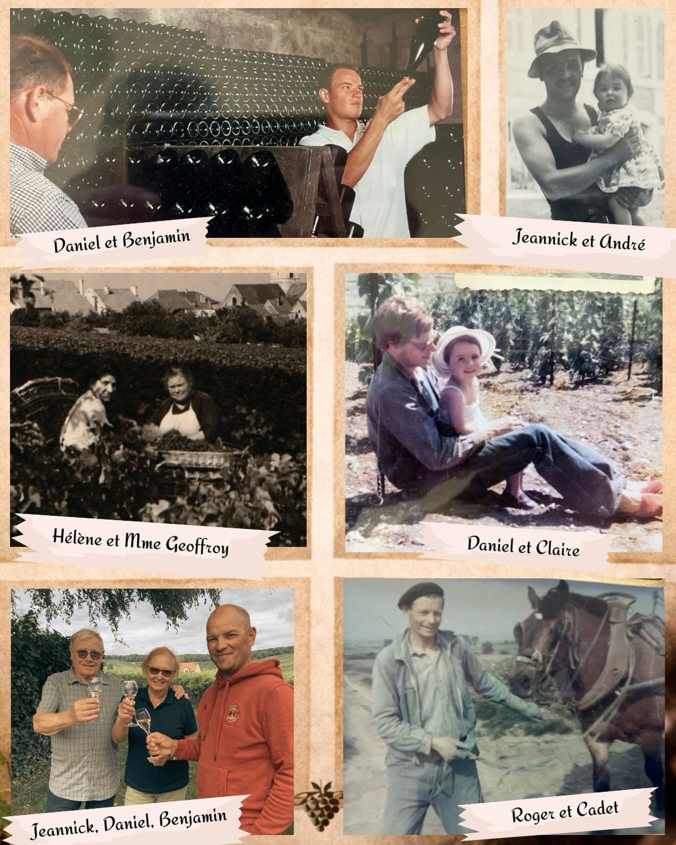 LA TRADITION - Chez nous, la tradition s’est apprise dans les vignes, aux côtés de nos parents, de nos grands-parents et arrières grands-parents.
À regarder, à écouter, à recommencer. 

On nous a montré les gestes.
On nous a expliqué pourquoi.
Parfois plusieurs fois.

Aujourd’hui, c’est à notre tour de les faire vivre.
Pas pour faire comme avant,
mais pour continuer, à notre manière.

La tradition, c’est faire vivre aujourd’hui ce que d’autres nous ont confié hier. 🍇

#champagnefeneuilpointillart #Vignerons #Tradition #Transmission #savoirfaire