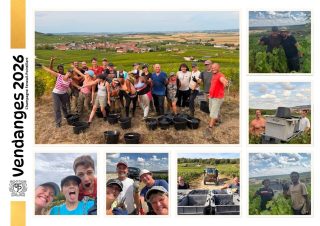 🍇 Une belle équipe, de beaux souvenirs…rendez-vous l’année prochaine ! 💚  #champagnefeneuilpointillart #vendanges2026 #champagne #chamery