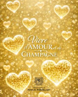 L’amour se célèbre…avec des bulles 🥂
💛 Vivre d’AMOUR et de CHAMPAGNE 💛

#champagnefeneuilpointillart #amour #saintvalentin #champagnelovers #vivredamouretdechampagne