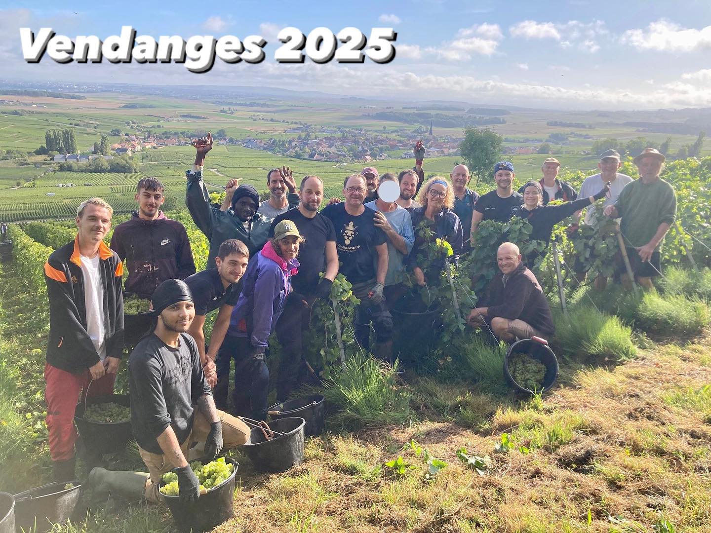 Une équipe millésimée : pleine d’énergie, de bonne humeur et de générosité. Merci à chacun d’avoir apporté sa bulle d’enthousiasme à cette aventure. 🍇🍾🤩 #champagnefeneuilpointillart #champagnechamery #champagnepremiercru #vendanges2025 #montagnedereims