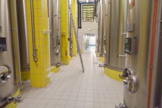 A première vue, dans la Cuverie, il ne se passe pas grand-chose. Et pourtant…

Une nouvelle étape commence : la fermentation alcoolique. Les levures transforment naturellement les sucres du raisin en alcool. Le jus va progressivement devenir du vin.

Pour nous, c’est une période d’observation, de contrôle, et surtout, on laisse le temps faire son travail.

Du raisin au vin, une nouvelle histoire commence. 🍇🥂