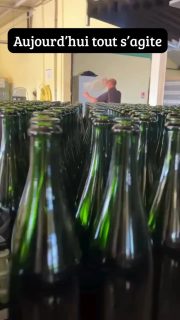 Mise en bouteille : notre TIRAGE.

Aujourd’hui tout s’accélère, le verre, le métal, le rythme. 

Dans le silence et l’ombre des caves, le temps prend le relais.
Année après année, il façonne ce que vous dégusterez un jour. 🥂. #champagnefeneuilpointillart #vignerons #tirage #champagnelovers #miseenbouteille